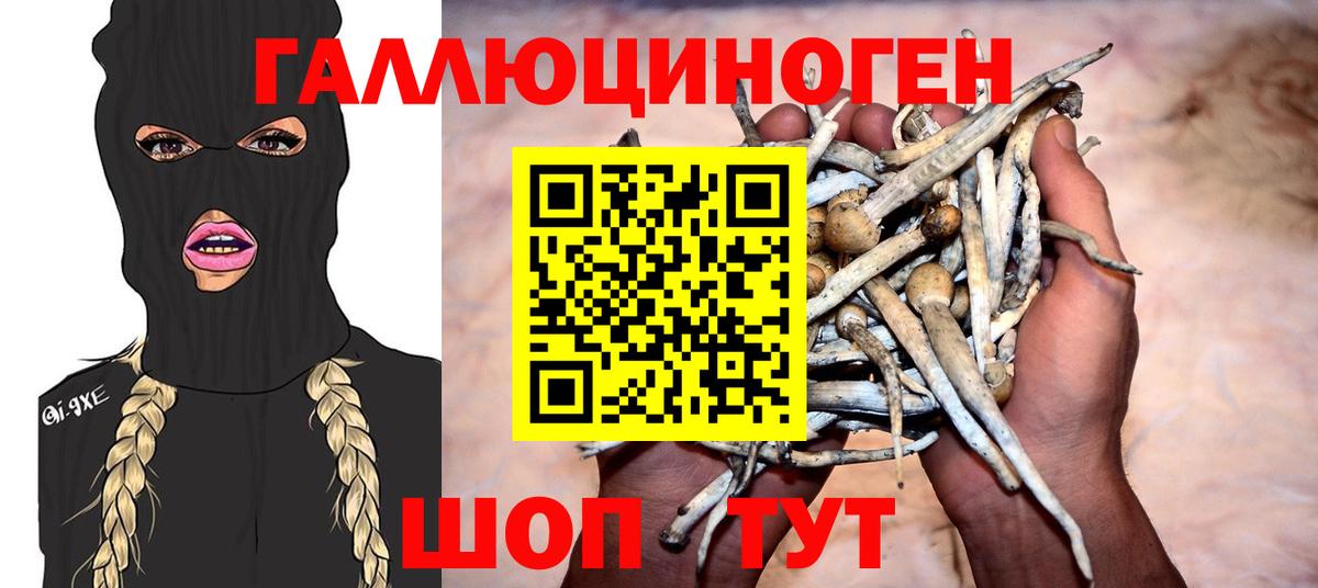 Кольчугино  магазин    Вход с VPN  Псилоцибиновые грибы ЛСД 